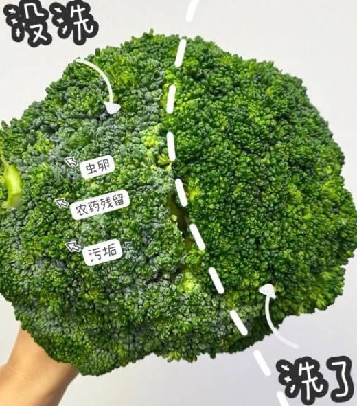 年后发！到手2瓶❗山姆同款在售💰59.9/瓶！美国百万家庭主妇都在用【Texlabs柠檬小苏打洗洁精1.3kg】0添加剂，温和不伤手 ✅符合国家食品级A类标准 ✅洗碗、洗蔬果都可以~ 商品图9