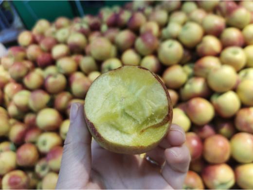 小红油桃3斤 商品图2