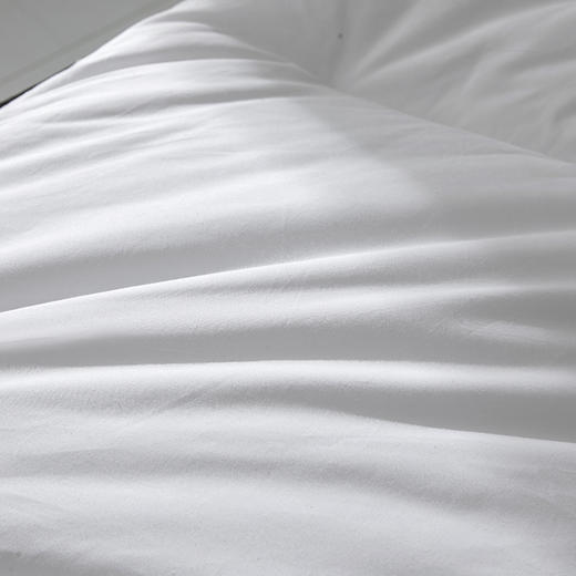 自然醒A类酒店防螨抗菌全棉软床垫家用宿舍学生床褥垫床上用品榻榻米褥子垫被LN 商品图12