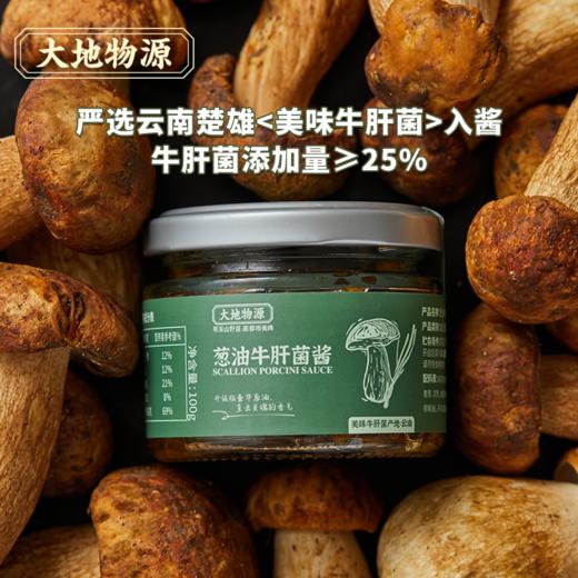 大地物源 葱油牛肝菌酱 本帮鲜甜风味 快手拌面酱 大片菌子看得到 商品图4
