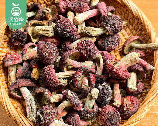 三明精品红菇（小蕾菇）/1份（约100g*2罐） 生产日期：25年11月补单专用 商品图3