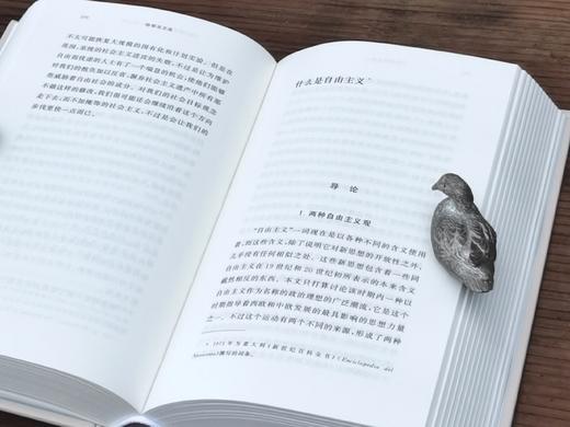 旧版复活：人文科学译丛四种：《哈耶克文选》《火的精神分析》《水与梦：论物质的想象》《幼年与历史：经验的毁灭》，精装，32开，哈耶克、巴什拉、阿甘本著，上河卓远出品，河南大学出版社2025年一版一印 商品图11