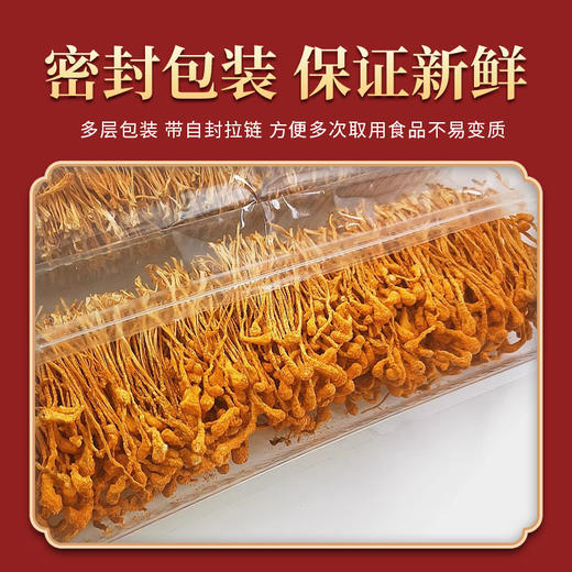 山海堂蛹虫草尚品装｜以奶为壤，以净为礼，天生免洗的滋养臻品【4.4-4.6不发货，7号正常发货】 商品图2