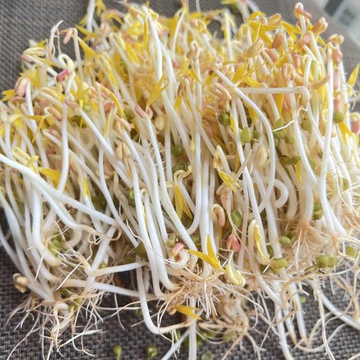 章丘【粉沙绿豆（老品种）】色泽翠绿，自然温润，颗粒饱满，粒大皮薄，豆香浓郁，沙糯可口，绝对的老品种绿豆，非转基因，原生态种植！ 商品图7