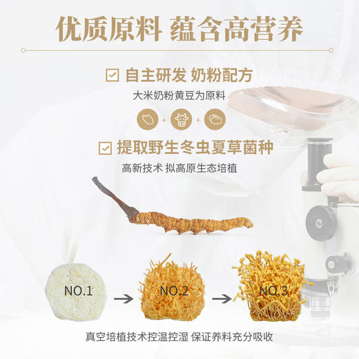 山海堂大孢头蛹虫草奶香粗条和美装｜嚼得到的健康 · 挡不住的奶香！【4.4-4.6不发货，7号正常发货】 商品图2