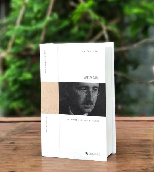 旧版复活：人文科学译丛四种：《哈耶克文选》《火的精神分析》《水与梦：论物质的想象》《幼年与历史：经验的毁灭》，精装，32开，哈耶克、巴什拉、阿甘本著，上河卓远出品，河南大学出版社2025年一版一印 商品图2