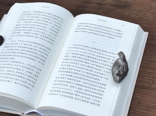 旧版复活：人文科学译丛四种：《哈耶克文选》《火的精神分析》《水与梦：论物质的想象》《幼年与历史：经验的毁灭》，精装，32开，哈耶克、巴什拉、阿甘本著，上河卓远出品，河南大学出版社2025年一版一印 商品图14