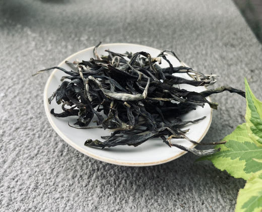 2025年头春秘境古树三岔箐-1片200g 商品图1