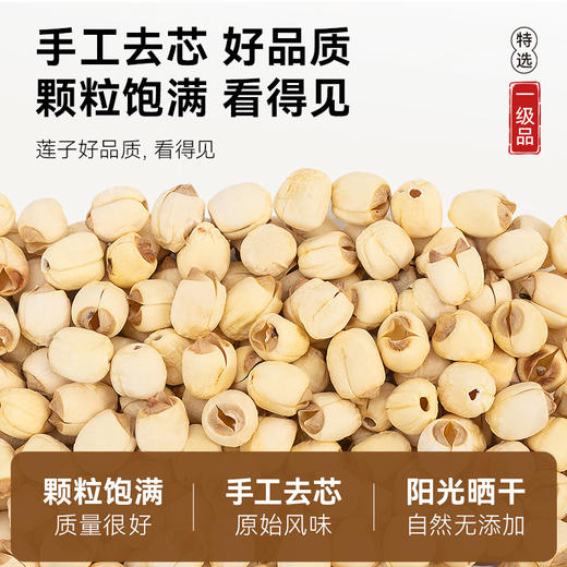 建宁莲子100克/包   A-5301 姚淑先 商品图2