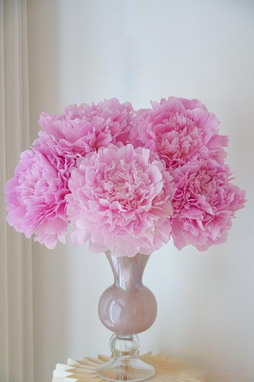 精品花材餐盘芍药花5支 商品图1