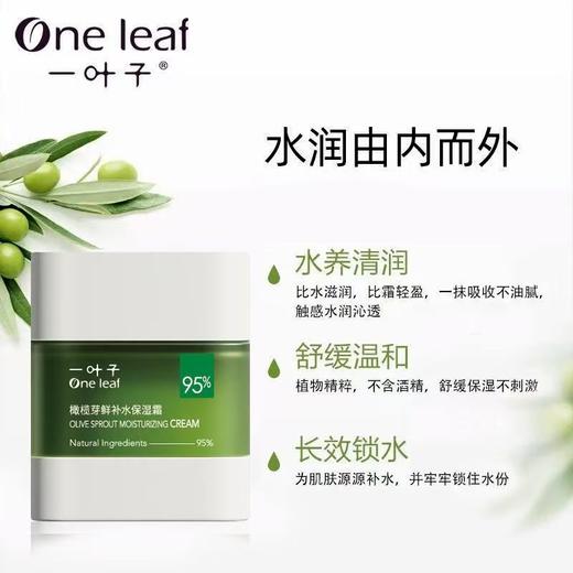 一叶子橄榄芽鲜补水保湿霜50g(2023KA版)-4518 商品图0