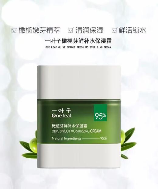 一叶子橄榄芽鲜补水保湿霜50g(2023KA版)-4518 商品图2