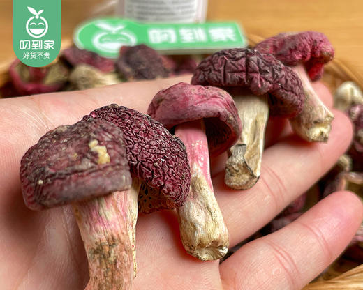 三明精品红菇（小蕾菇）/1份（约100g*2罐） 生产日期：25年11月补单专用 商品图5