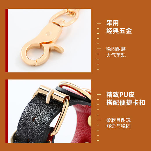 赤链捆绑套装皮革套组SM 商品图2