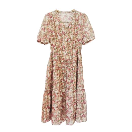 VIVIAN LIU V2524105 春季新款V领花边设计印花收腰短袖连衣裙 商品图4