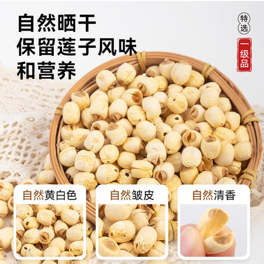 建宁莲子100克/包   A-5301 姚淑先 商品图3