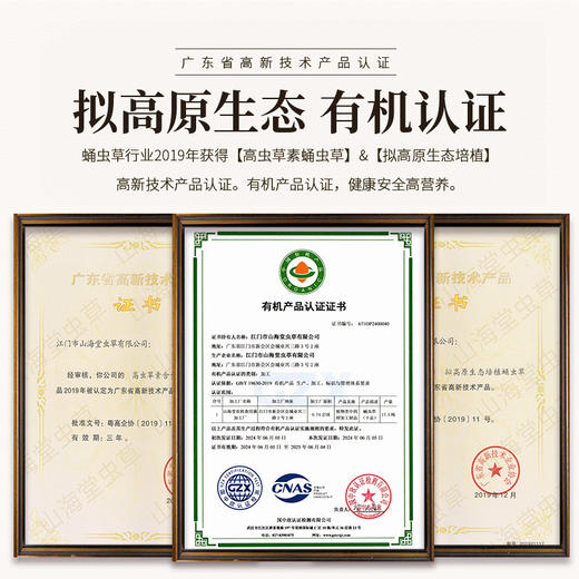 山海堂有机虫草花玲珑装｜孢子粉含量检测图：1克≈3倍营养密度【4.4-4.6不发货，7号正常发货】 商品图4