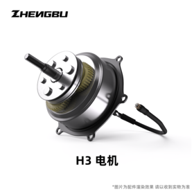 H3 电机机芯