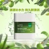 一叶子橄榄芽鲜补水保湿霜50g(2023KA版)-4518 商品缩略图5