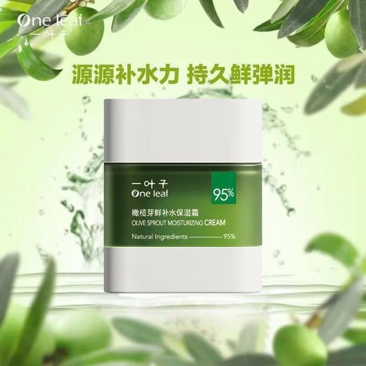 一叶子橄榄芽鲜补水保湿霜50g(2023KA版)-4518 商品图5