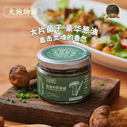 大地物源 葱油牛肝菌酱 本帮鲜甜风味 快手拌面酱 大片菌子看得到 商品图3