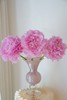 精品花材餐盘芍药花5支 商品缩略图11