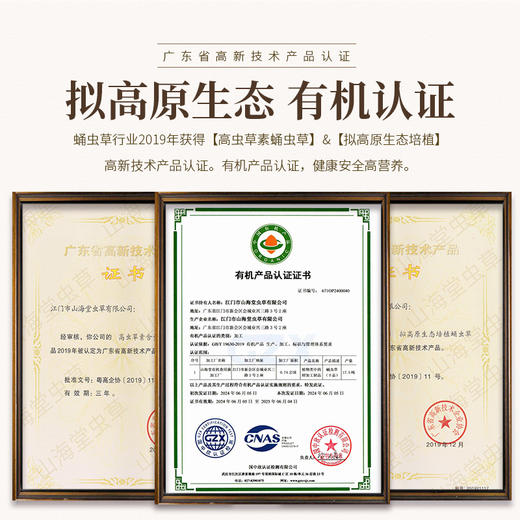 山海堂大孢头蛹虫草奶香粗条和美装｜嚼得到的健康 · 挡不住的奶香！【4.4-4.6不发货，7号正常发货】 商品图3