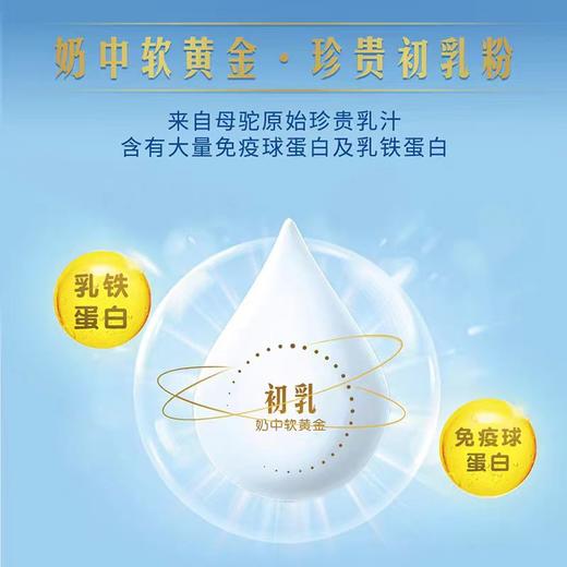 那拉米斯 免疫球蛋白驼奶粉300克（购满358元参与：1元报名送358元乳铁蛋白） 商品图2