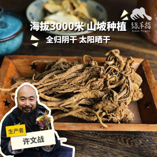 生态马厂当归 | 合作生产*Ecological Machang Angelica sinensis | Partner Production 商品图0