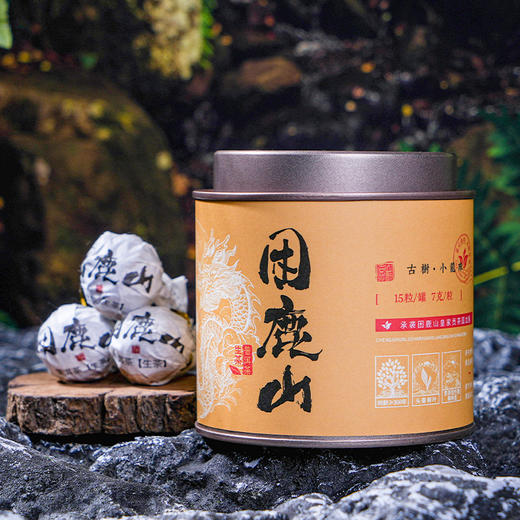 2025《困鹿山》古树春茶小龙珠 7克*15颗 生茶 商品图1
