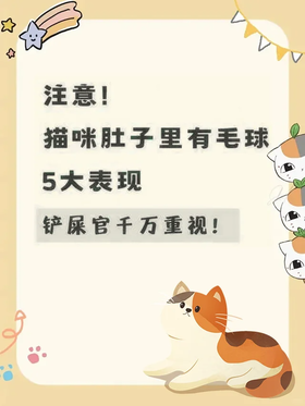 铲屎官必看！！！猫咪肚子里有毛球的5大表现