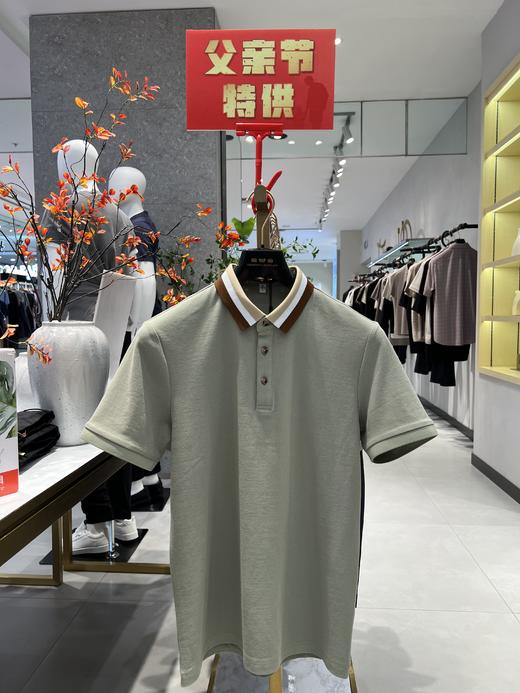 5F  凯迪东尼半袖 商品图0