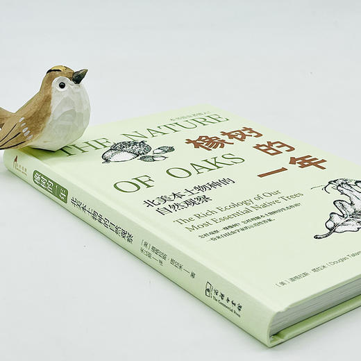 橡树的一年:北美本土物种的自然观察(自然观察丛书) 商品图2