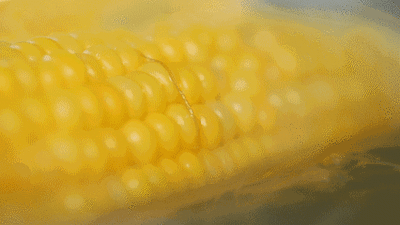 高效减脂餐第①天