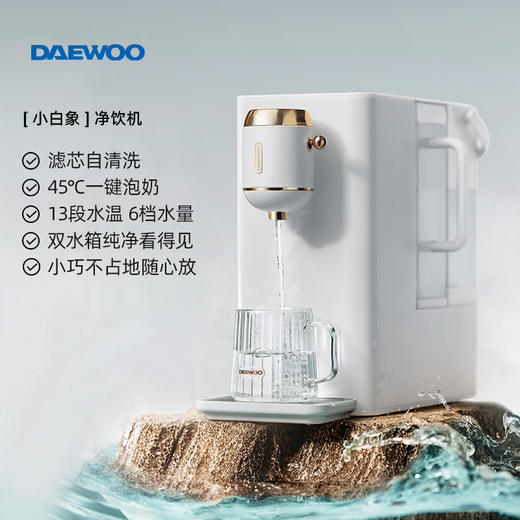 大宇 台式净饮一体机即热饮水机家用净水器机自来水过滤 商品图0