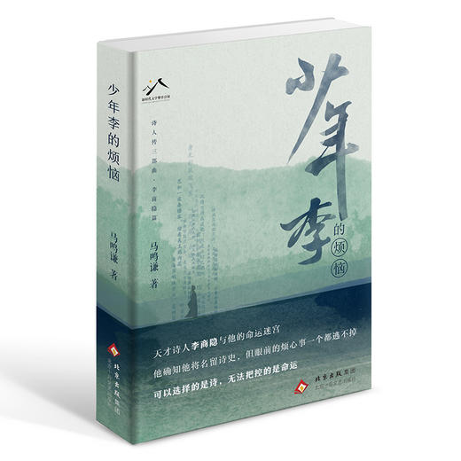 少年李的烦恼 商品图0