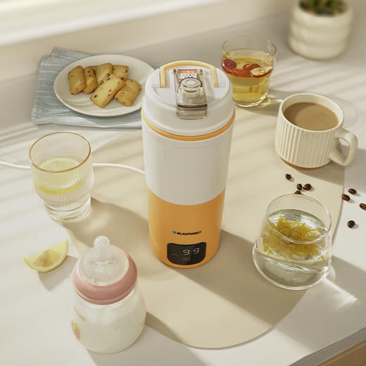 BLAUPUNKT蓝宝便捷式烧水壶600ml智能恒温BP-DRSB01 商品图2