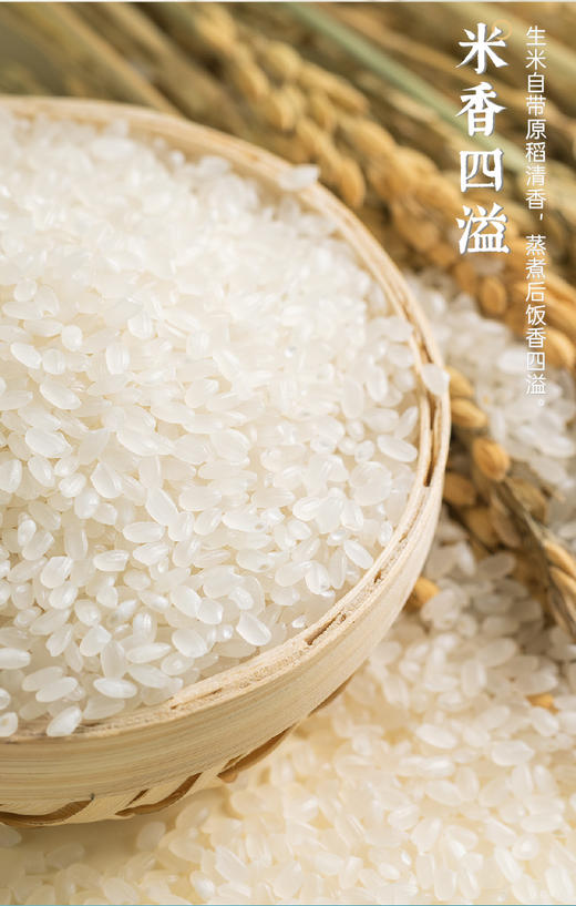 袁谷农场耐盐碱有机加东北晶米组合装共10kg吃饱吃好组合一年一季2025新米盘锦碱地大米20斤拍下有限量赠品先购先得 商品图4