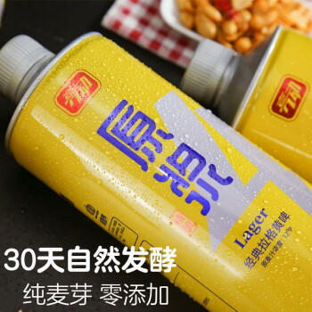 亮动原浆啤酒1L*8桶整箱礼盒装精酿黄啤青岛特产国产全麦酿送礼 商品图0