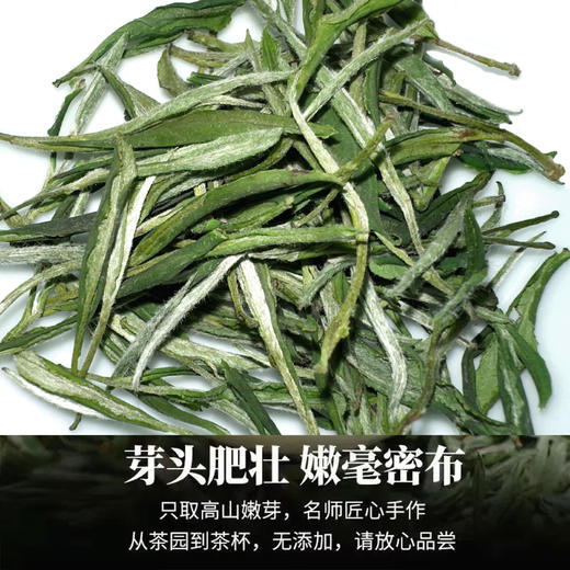 2025新茶  黄山毛峰  谷雨时节高山云雾绿茶  茶香清新 口感鲜爽 回味甘甜 商品图2