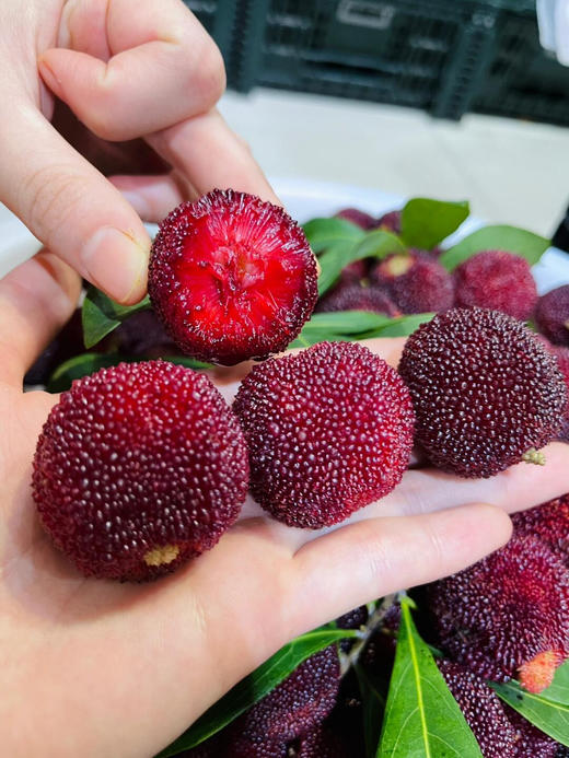 【产地直采】9.9元/斤 超大果东魁杨梅（2斤起售） 商品图3