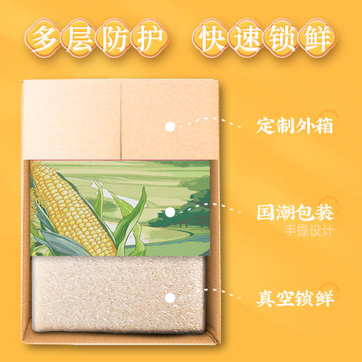 【走娃官方指定合作产品】袁谷碱地二米饭2.5kg盘锦圆粒米五常玉米糁二米饭软糯清香5斤装赠同款300g 商品图4