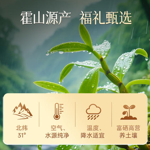 雷允上霍山铁皮石斛福礼78g(6.5g*12罐）/盒 商品图4