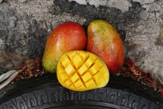 彩虹芒（礼盒装）四川攀枝花芒果新鲜孕妇水果现货9斤包邮 商品图1