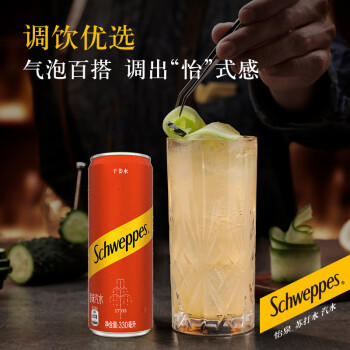 可口可乐（Coca-Cola）怡泉 Schweppes ginger 干姜水 汽水饮料 调酒 330ml*24 整箱装 商品图0