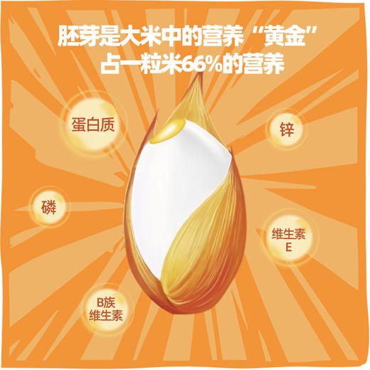 袁谷农场袁谷碱地有机胚芽米营养辅食粥优质大米500g小包装当季新米 商品图2
