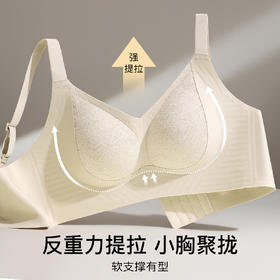 反重力提拉】时尚蕾丝小胸聚拢内衣女软支撑上托提拉防垂收副乳清风兰雪
