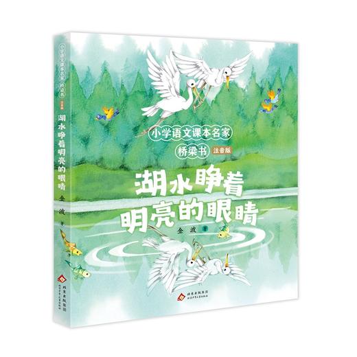 湖水睁着明亮的眼睛(注音版) 商品图0