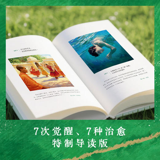 悉达多 商品图2