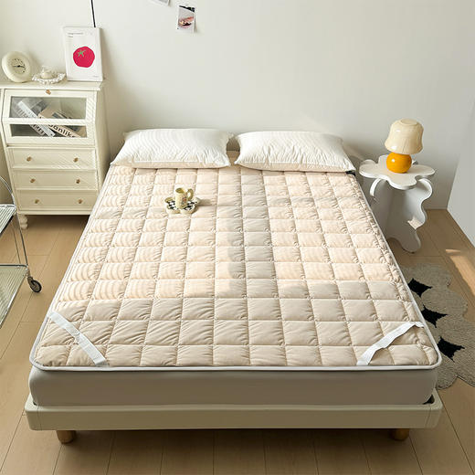 自然醒四季款全棉舒适抗菌两用床褥双面纯棉德芙绒床垫防滑可洗家用软垫床褥被LN 商品图13